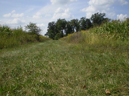 Property photo 8 - 40 Acres in 4 Tracts - Great Location!